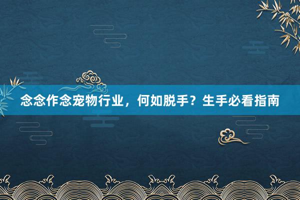 念念作念宠物行业，何如脱手？生手必看指南