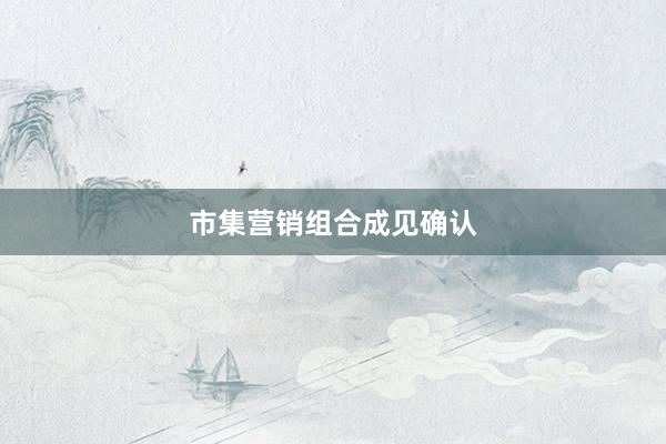 市集营销组合成见确认